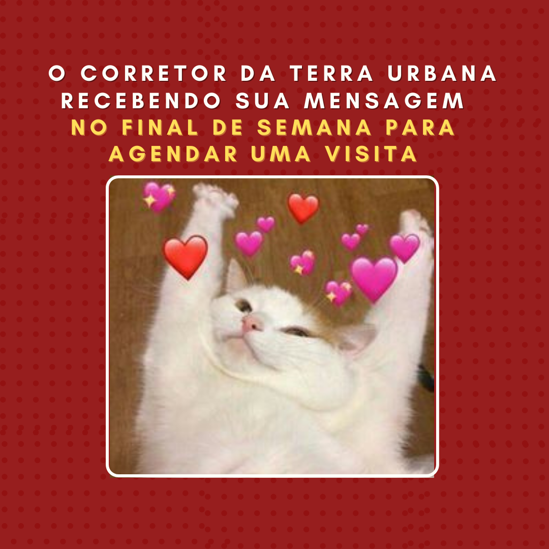 Não adie (8)